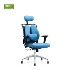 Katy-H,combines aesthetics and health high back fabric office chair