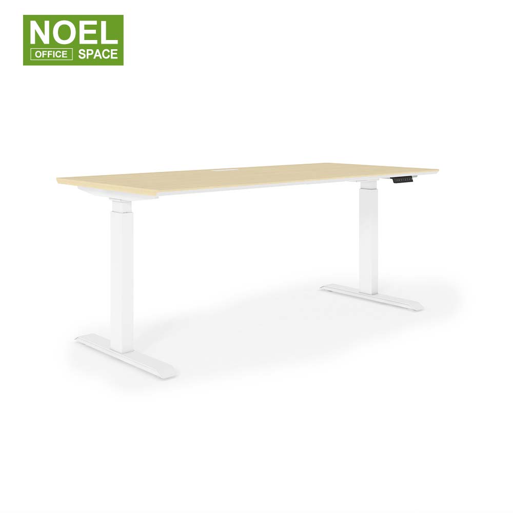 north-american-maple-grey