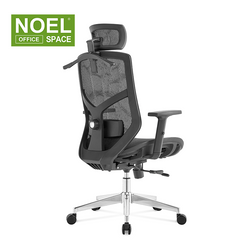 Lina-H(full mesh)High back ergonomic mesh office chair
