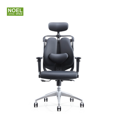 Katy-H,combines aesthetics and health high back fabric office chair