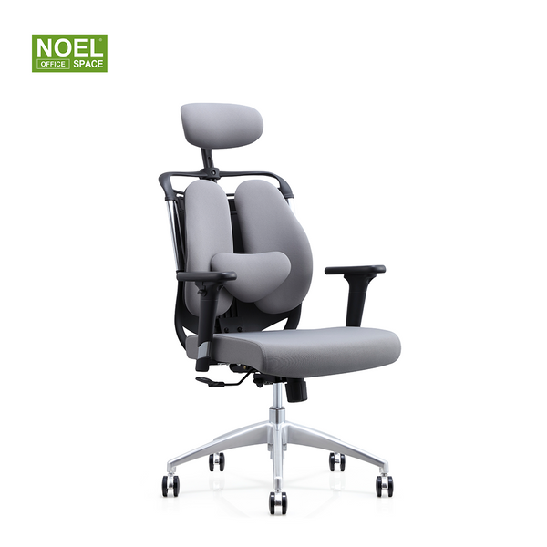 Katy-H,combines aesthetics and health high back fabric office chair