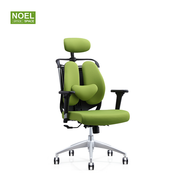 Katy-H,combines aesthetics and health high back fabric office chair