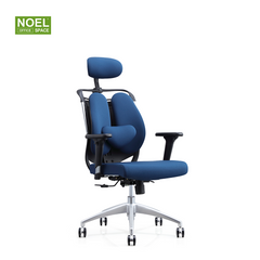 Katy-H,combines aesthetics and health high back fabric office chair