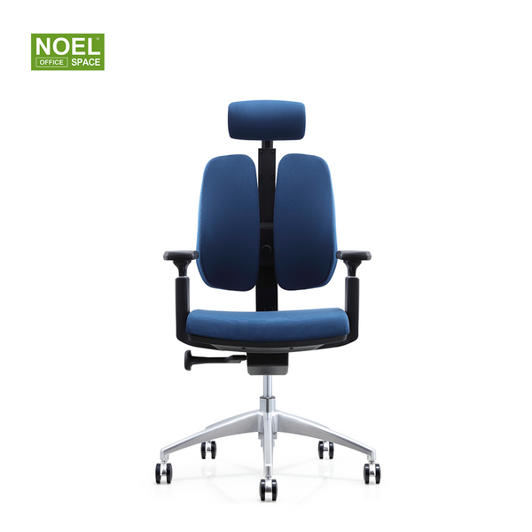 Kathy-H,Dynamic design high back fabric office chair