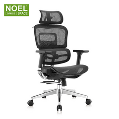Lana-H(White frame),High back nylon mesh office chair