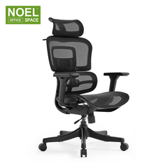 Lana-H(Black frame),High back nylon mesh office chair