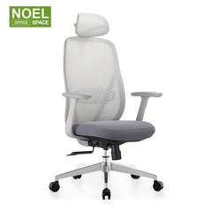 Fanny-H (Grey), New Product Fixed Lumbar Support Ergonomic Mesh Office Chair 2D Headrest Multifunctiona 3D Armrest Fashion Unique Design With PU Nylon Castors