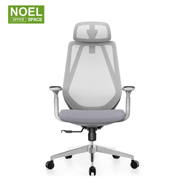 Farris-H (Grey), New Product Ergonomic Mesh Office Chair 2D Headrest Full Chair Passed BIFMA 3D Armrest Multifunction Mechanism Fashion Unique Design